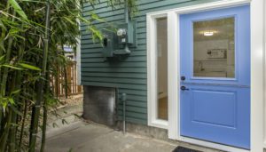 A blue exterior door with a window next to a green siding wall and electrical meter, with bamboo plants to the left.